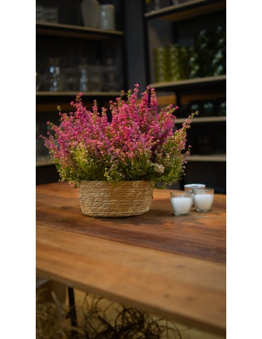 COMPOSICION CESTO BREZOS M