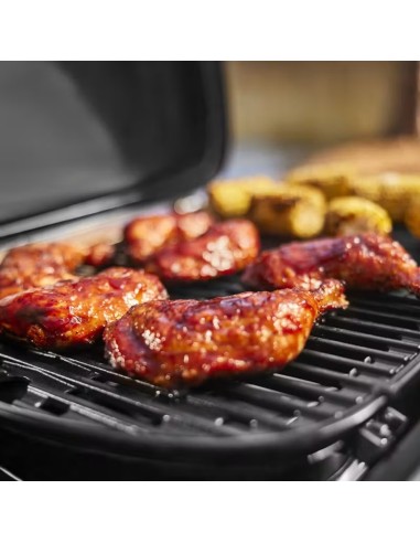 Barbacoa Weber Traveler Mini LP  Portátil, Compacta y Eficiente en Endanea Garden

