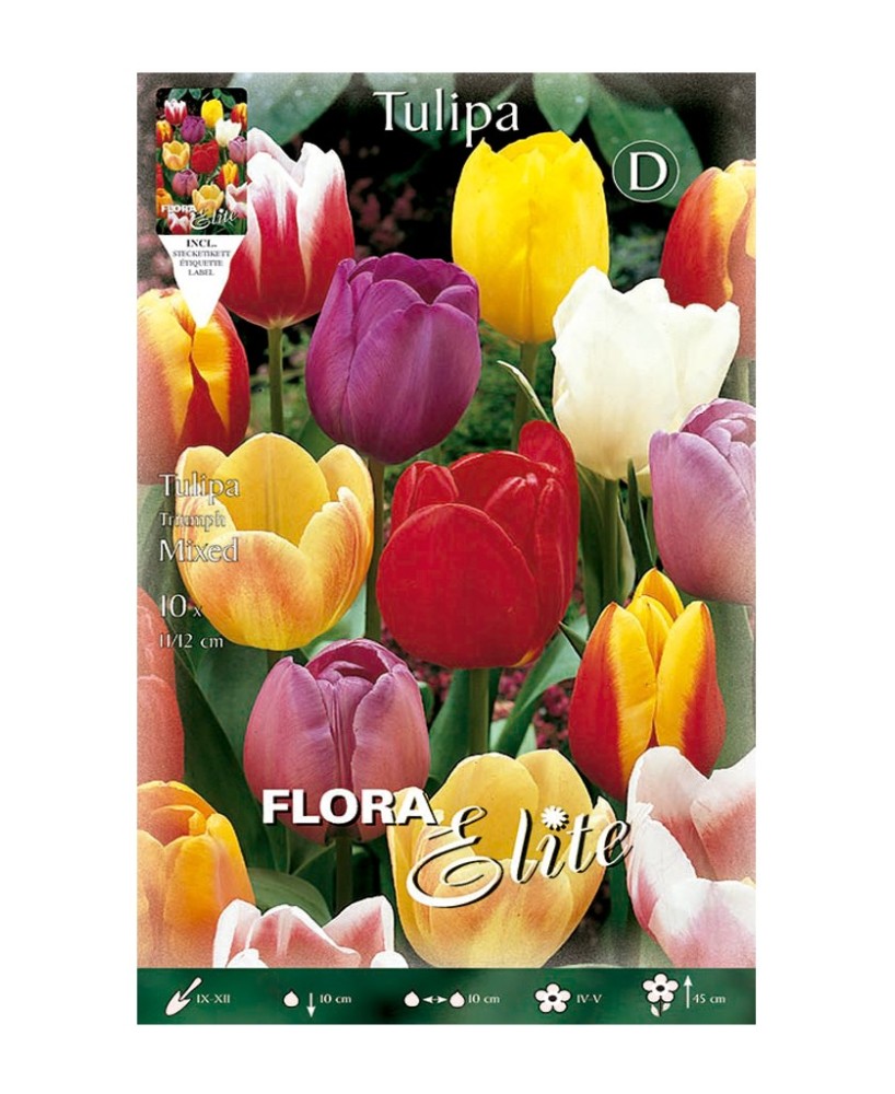 Bulbo Tulipán Darwin Mezcla Elite 10UD Batlle - Flores grandes y vibrantes para jardín