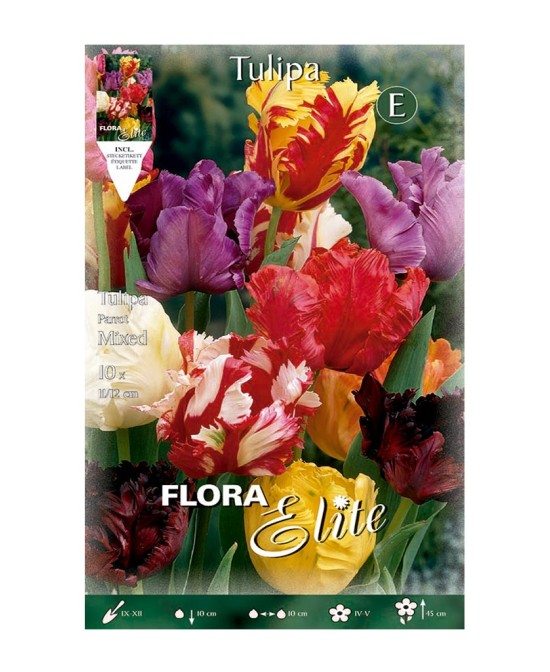 Bulbo Tulipán Papagayo Mezcla 10ud Batlle | Compra Online en Endanea Garden