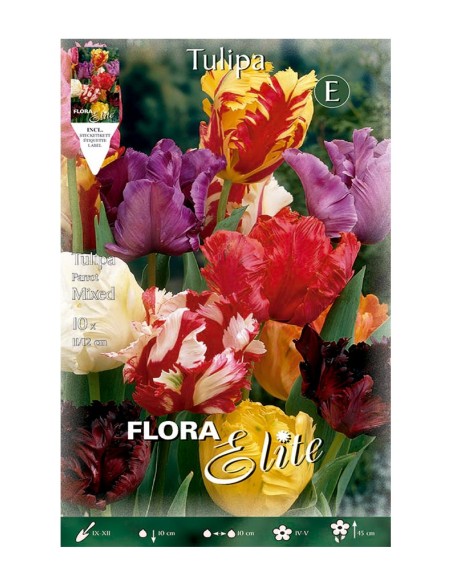 Bulbo Tulipán Papagayo Mezcla 10ud Batlle | Compra Online en Endanea Garden