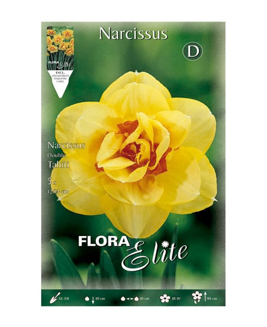 Bulbo Narciso Doble Amarillo Elite 5ud Batlle | Compra Online en Endanea Garden