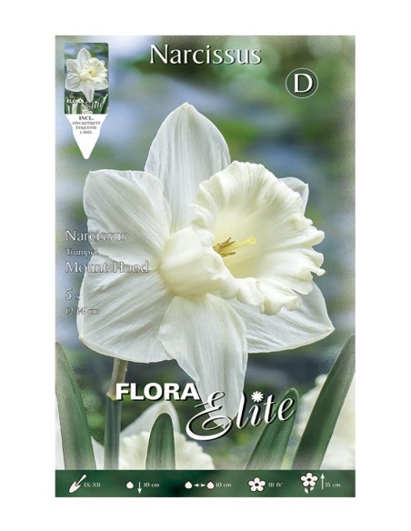 Bulbo Narciso Trompeta Blanco Puro Elite 5ud Batlle | Compra Online en Endanea Garden