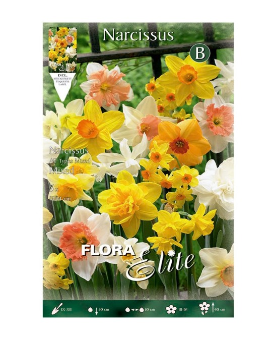 Bulbo Narciso Trompeta Mezcla Elite 5ud Batlle Flores Primavera Jardín