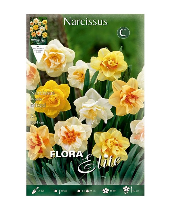Bulbo Narciso Doble Mezcla 5ud Batlle Flores Dobles Primavera Jardín