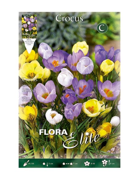 Bulbo Crocus Mezcla Elite 20ud Batlle - Flores tempranas y colores vibrantes