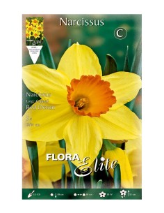 Bulbo Narciso Trompeta Amarillo Naranja Elite 5ud Batlle Flores Primavera Jardín