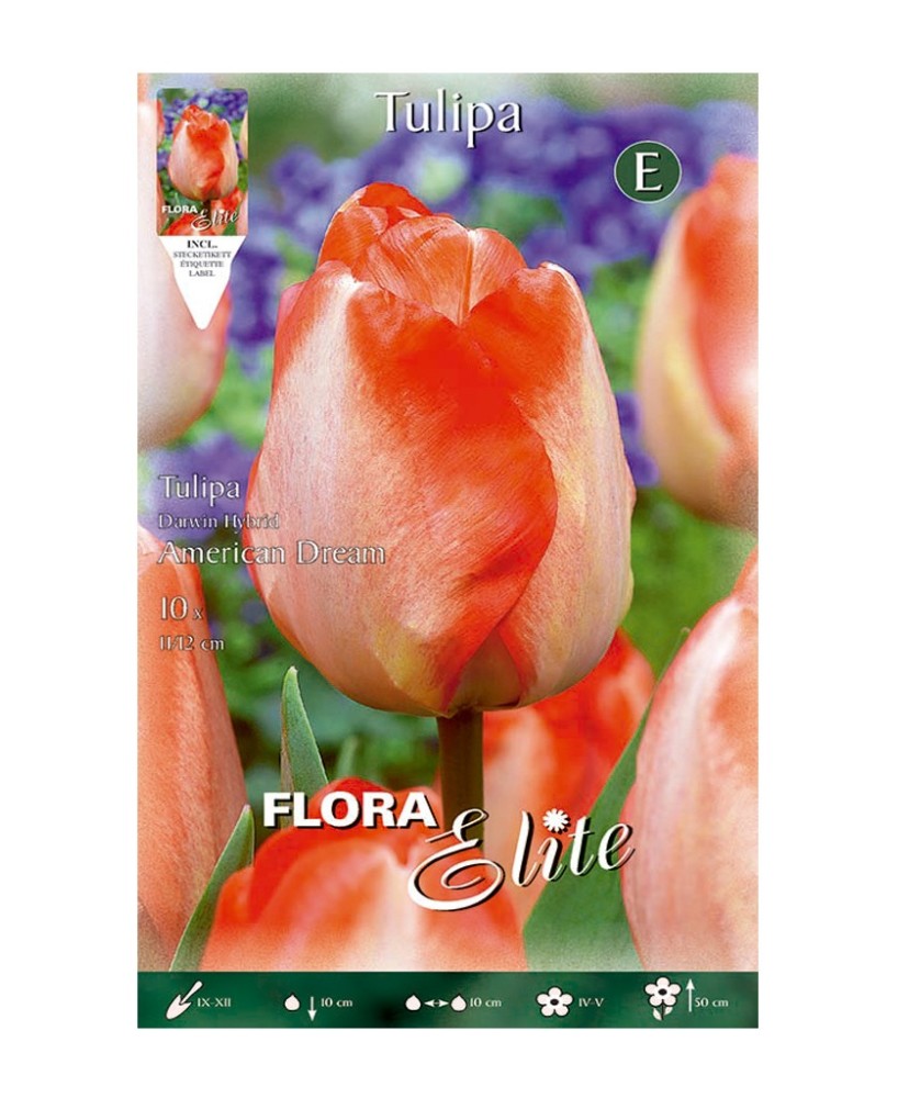 Bulbo Tulipán Blanco Rojo Elite 10ud Batlle  Flores Bicolor para Jardín Primavera