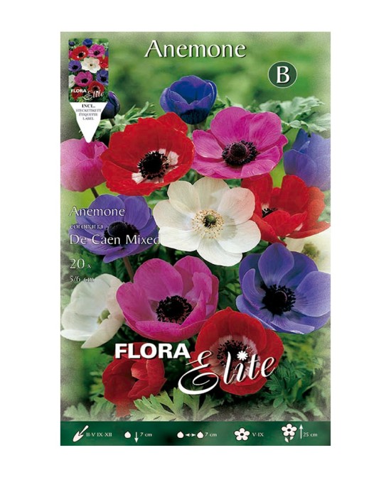 Bulbo Anémona Caen Mezcla Elite 20ud Batlle Flores Coloridas Primavera