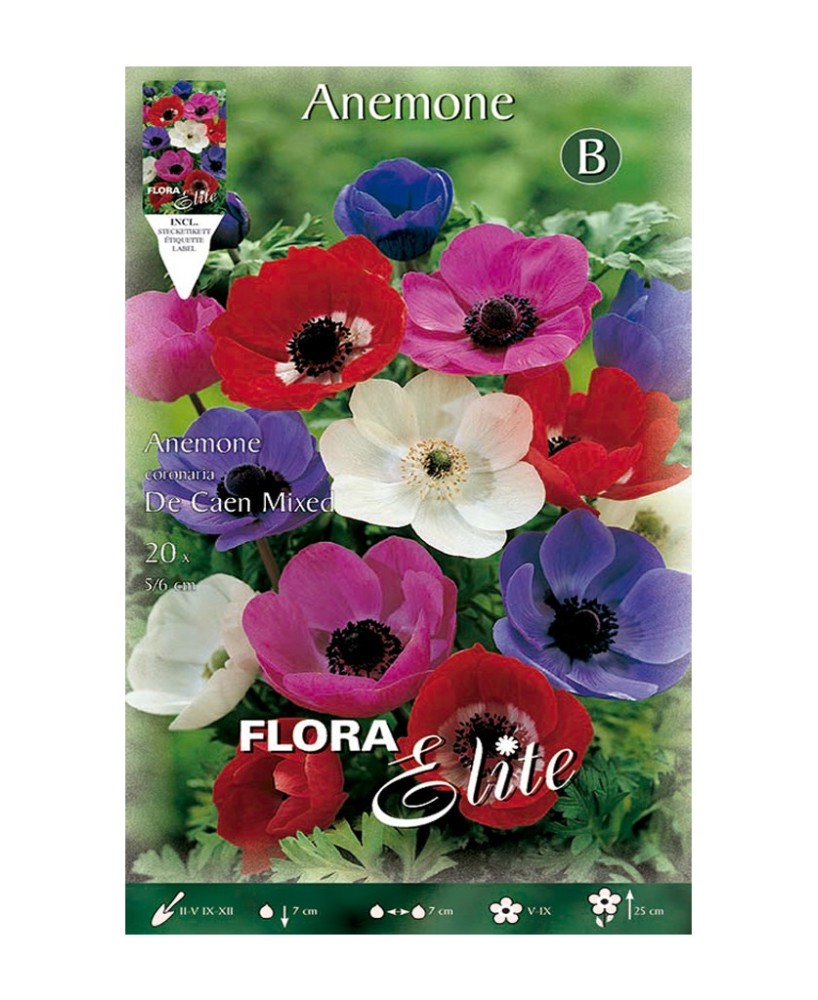 Bulbo Anémona Caen Mezcla Elite 20ud Batlle Flores Coloridas Primavera
