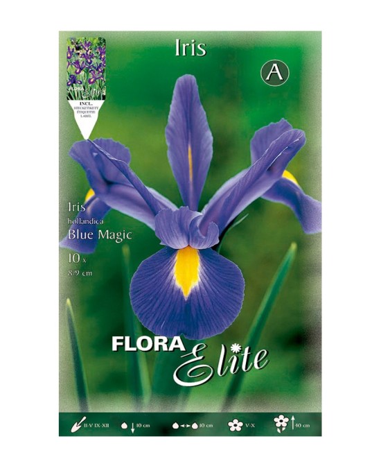 Bulbo Iris Holanda Azul Fuerte Elite 10ud Batlle para jardín vibrante y resistente