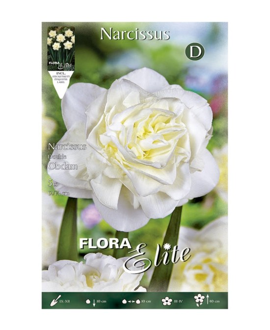 Bulbo Narciso Doble Blanco Elite 5ud Batlle - Flores blancas para jardín y macetas
