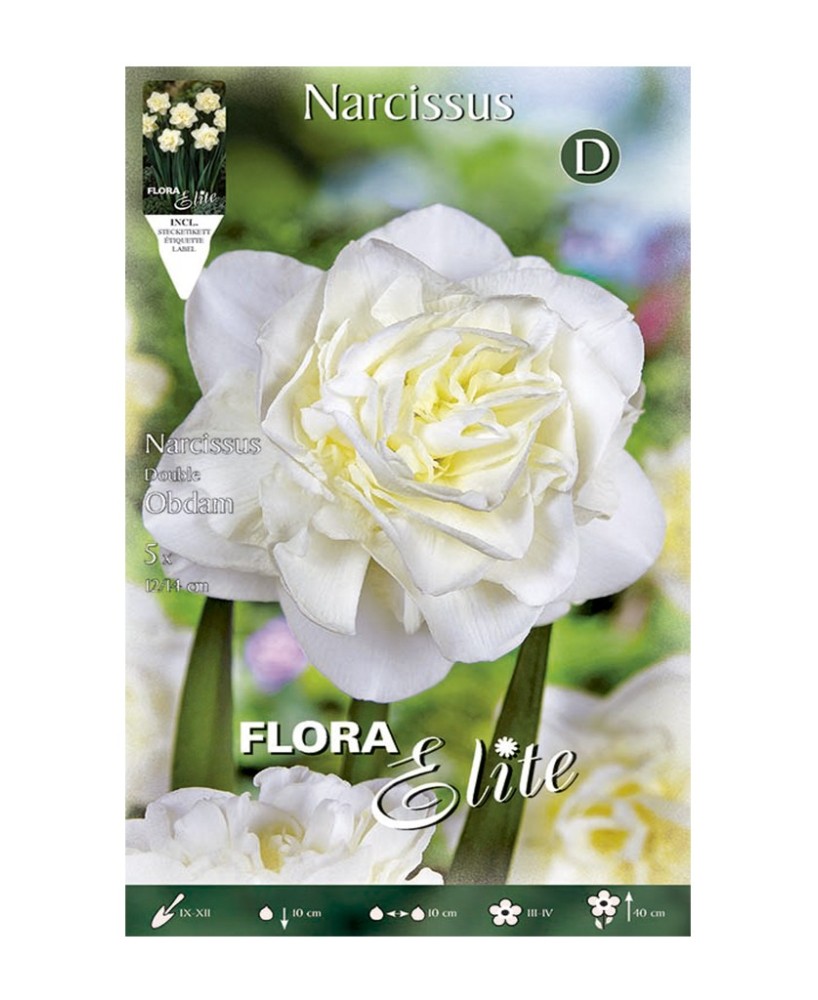 Bulbo Narciso Doble Blanco Elite 5ud Batlle - Flores blancas para jardín y macetas
