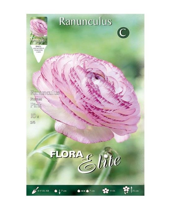 Bulbo Ranúnculo Rosa Elite 10ud Batlle - Flores Dobles Vibrantes para Jardín
