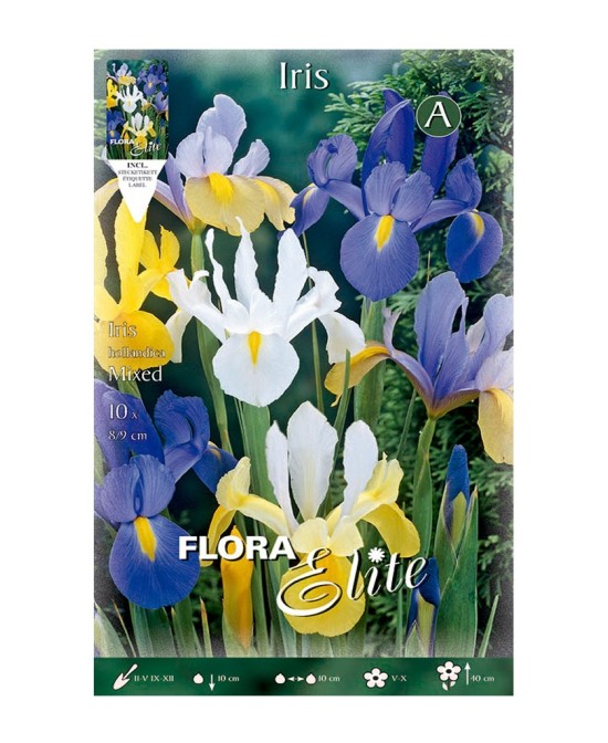 Bulbo Iris Holanda Mezcla Elite 10UD Batlle - Flores Vibrantes para Jardín