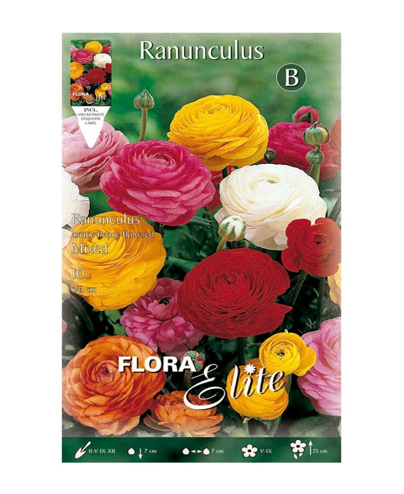 Bulbo Ranúnculo Mezcla Elite 10UD Batlle - Flores Coloridas para Jardín