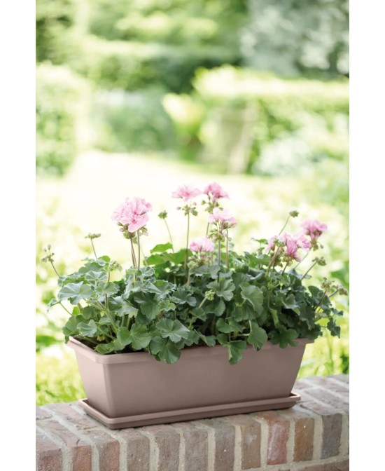 Plato Barcelona 40 cm Topo para Macetas Grandes | Endanea Garden