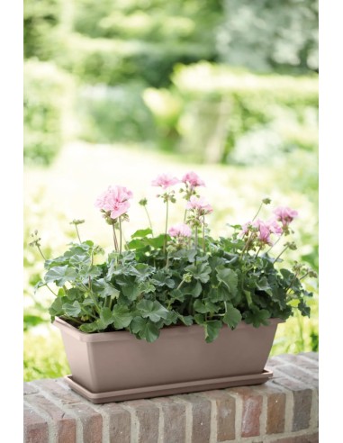 Plato Barcelona 40 cm Topo para Macetas Grandes | Endanea Garden