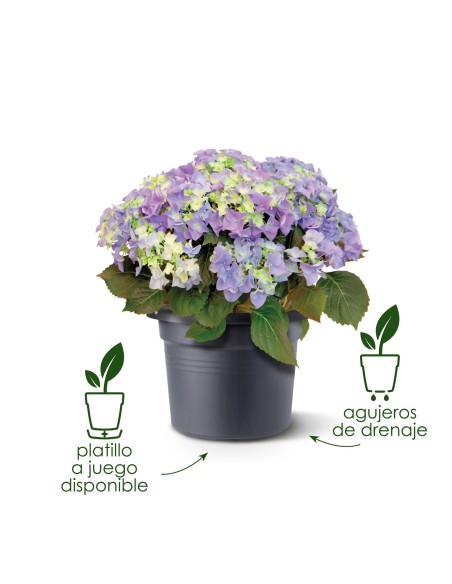 Maceta Cilindro 55 cm MTerra Color Tierra para Plantas Grandes | Endanea Garden