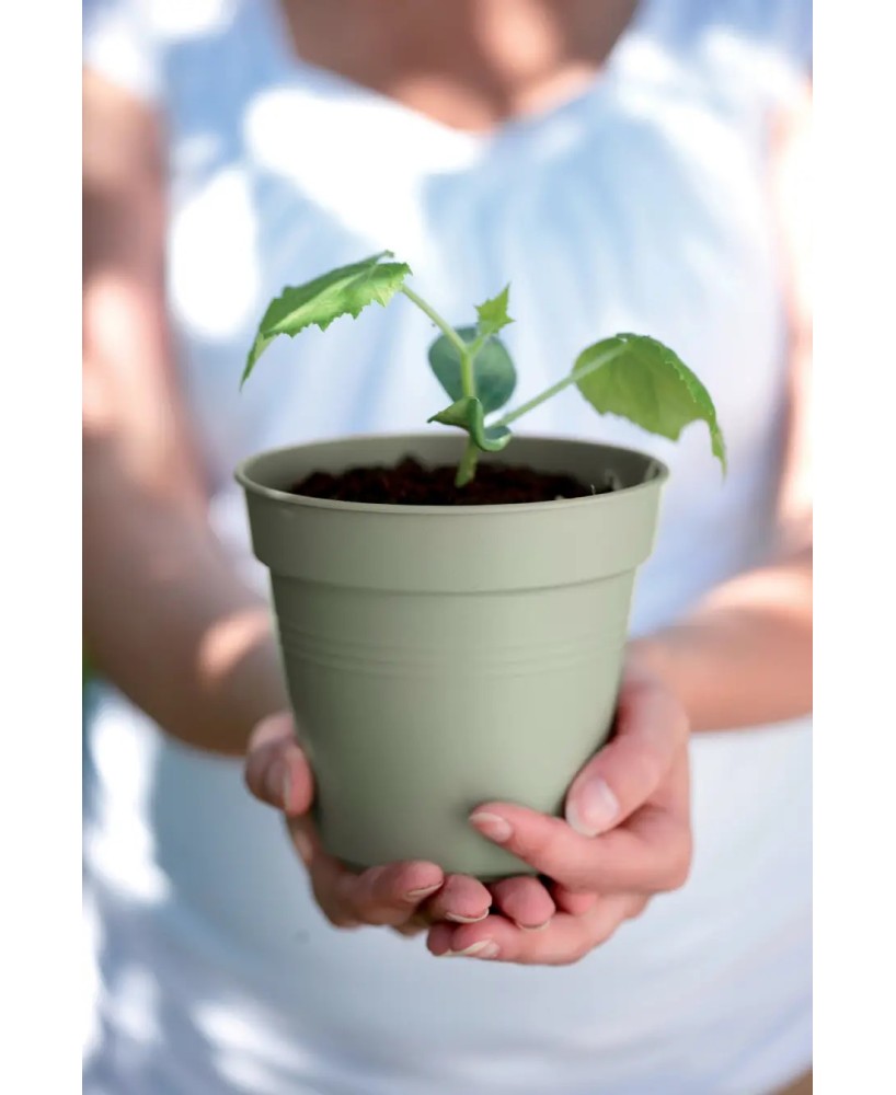 Maceta de Cultivo GB Piedra Verde 15 cm | Ideal para Plantas Medianas