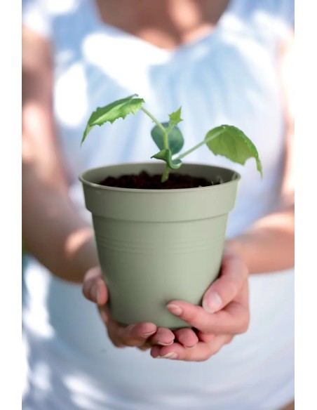 Maceta de Cultivo GB Piedra Verde 15 cm | Ideal para Plantas Medianas