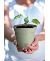 Maceta de Cultivo GB Piedra Verde 15 cm | Ideal para Plantas Medianas