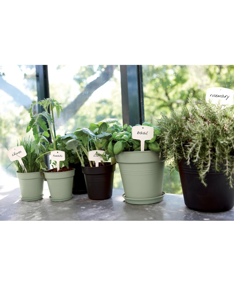Maceta de Cultivo GB Piedra Verde 15 cm | Ideal para Plantas Medianas