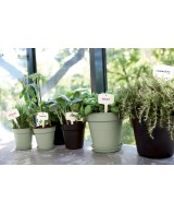 Maceta de Cultivo GB Piedra Verde 15 cm | Ideal para Plantas Medianas