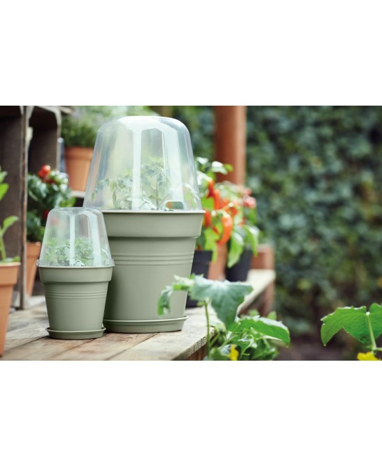 Maceta de Cultivo GB Piedra Verde 15 cm | Ideal para Plantas Medianas