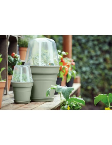 Maceta de Cultivo GB Piedra Verde 15 cm | Ideal para Plantas Medianas