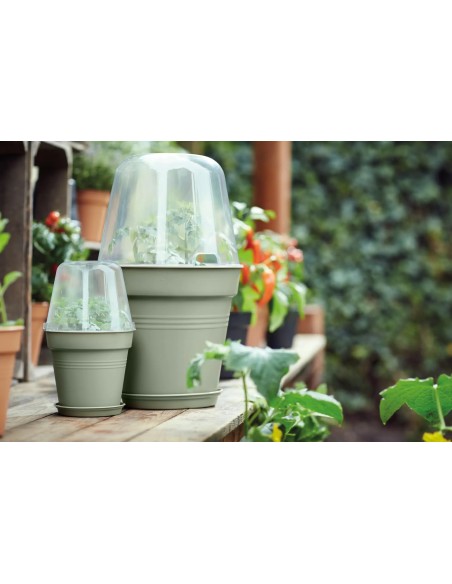 Maceta de Cultivo GB Piedra Verde 15 cm | Ideal para Plantas Medianas