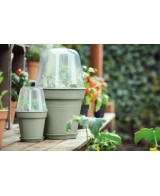 Maceta de Cultivo GB Piedra Verde 15 cm | Ideal para Plantas Medianas