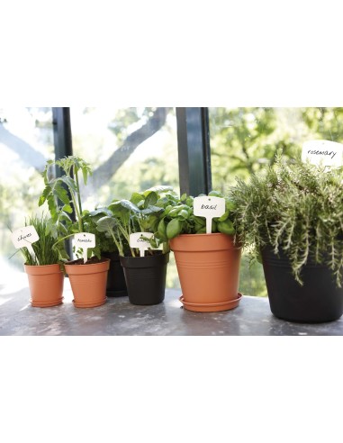 Plato GB 17 cm Negro para Macetas Pequeñas | Endanea Garden