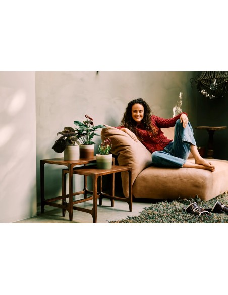 Maceta Redonda 14 cm Marrón Cedro Degradado | Endanea Garden