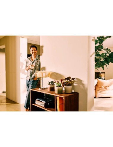 Maceta Redonda 16 cm Marrón Cedro Degradado | Endanea Garden