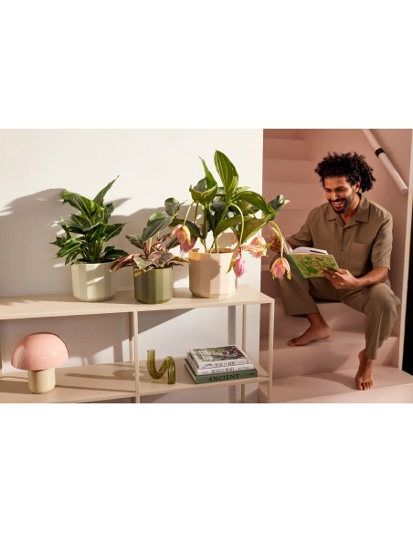 Maceta Facet Redonda 17 cm Rosa Almendra Diseño Moderno y Elegante