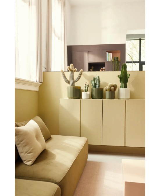 Maceta Facet Redonda 17 cm Verde Té  Diseño Moderno y Elegante