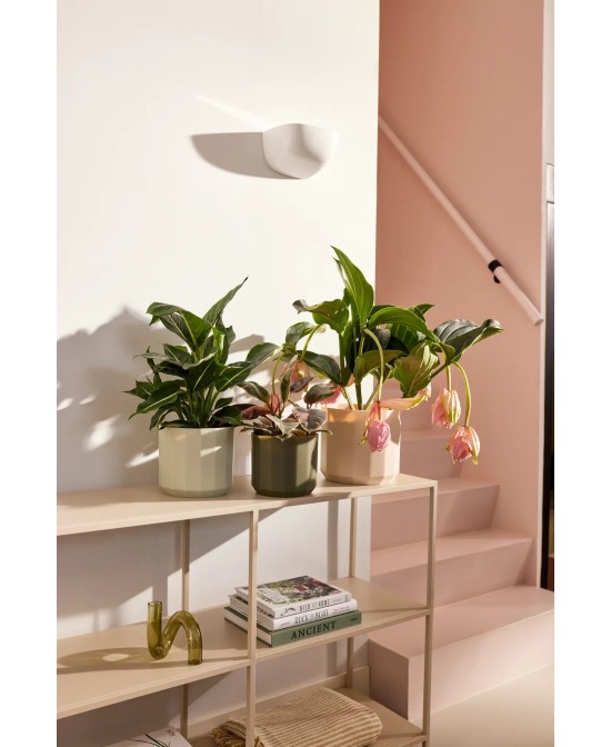 Maceta Facet Redonda 19 cm Rosa Almendra Diseño Moderno y Elegante