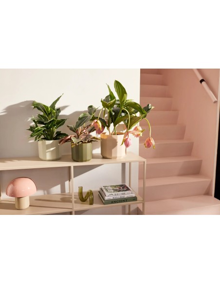 Maceta Facet Redonda 19 cm Verde Té - Diseño Moderno y Resistente