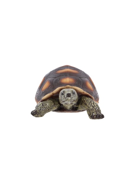 Figura Tortuga M  Decoración natural para jardín o interior | Endanea Garden