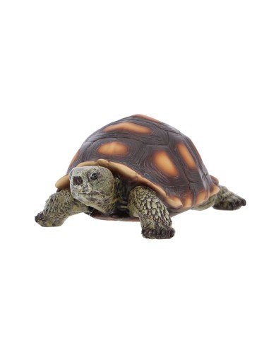 Figura Tortuga M  Decoración natural para jardín o interior | Endanea Garden