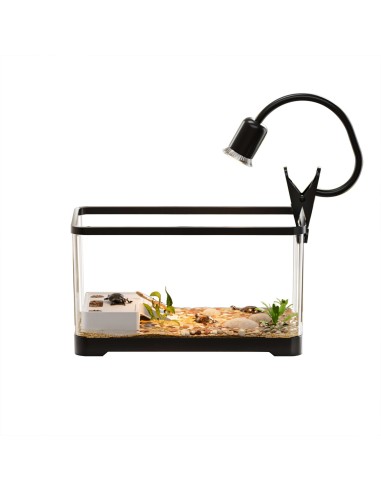 Tortuguera Visión 360 Negra 30x18x19cm Hábitat para Tortugas Compacta y Ventilada