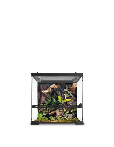 Urna ReptiGlass 45x45x45 cm Terrario para Reptiles y Anfibios Vidrio de Alta Calidad