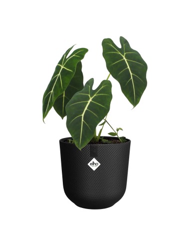 Maceta Jazz Redonda 26cm Living Negra | Elegante y Funcional