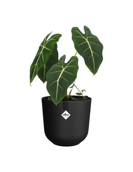 Maceta Jazz Redonda 26cm Living Negra | Elegante y Funcional