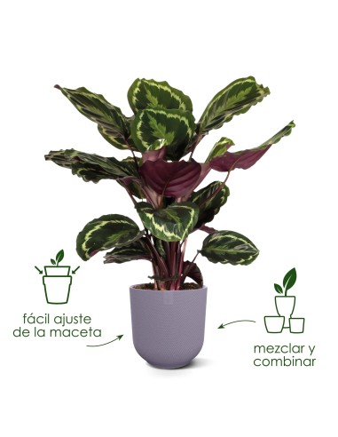 Maceta Jazz Redonda 26cm Living Negra | Elegante y Funcional