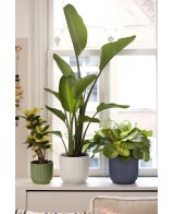Maceta Vibes Fold Redonda 14cm Antracita | Elegante y Funcional