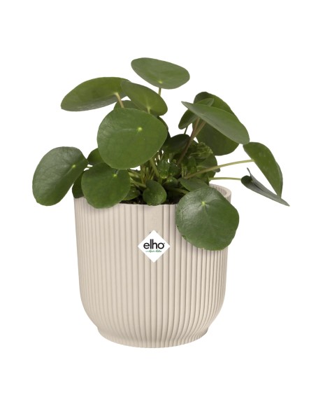 Maceta Vibes Fold Redonda 25cm Blanco Lino elegante y moderna