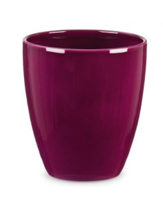 Maceta Orquídea Pure Violet 620/15 14X  Elegante y Resistente para Plantas