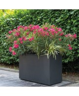 Maceta Muro Millennium R RA 98cm Antracita | Decoración Exterior y Jardín